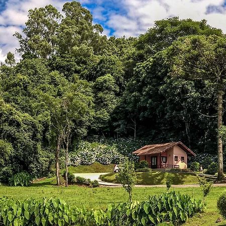 Pousada Pinhal Alto Nova Petropolis Εξωτερικό φωτογραφία