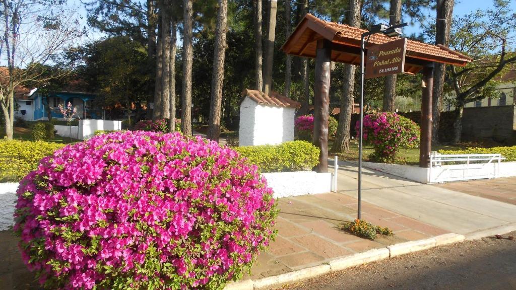 Pousada Pinhal Alto Nova Petropolis Εξωτερικό φωτογραφία